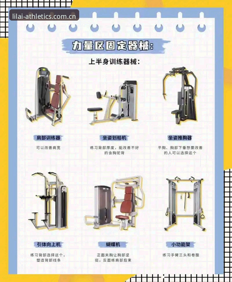 利来体育最新版本实用指南：功能升级与多设备适配必备知识